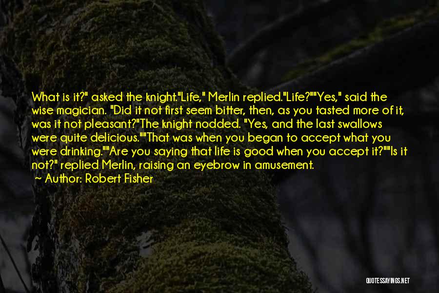 Amusement Quotes By Robert Fisher