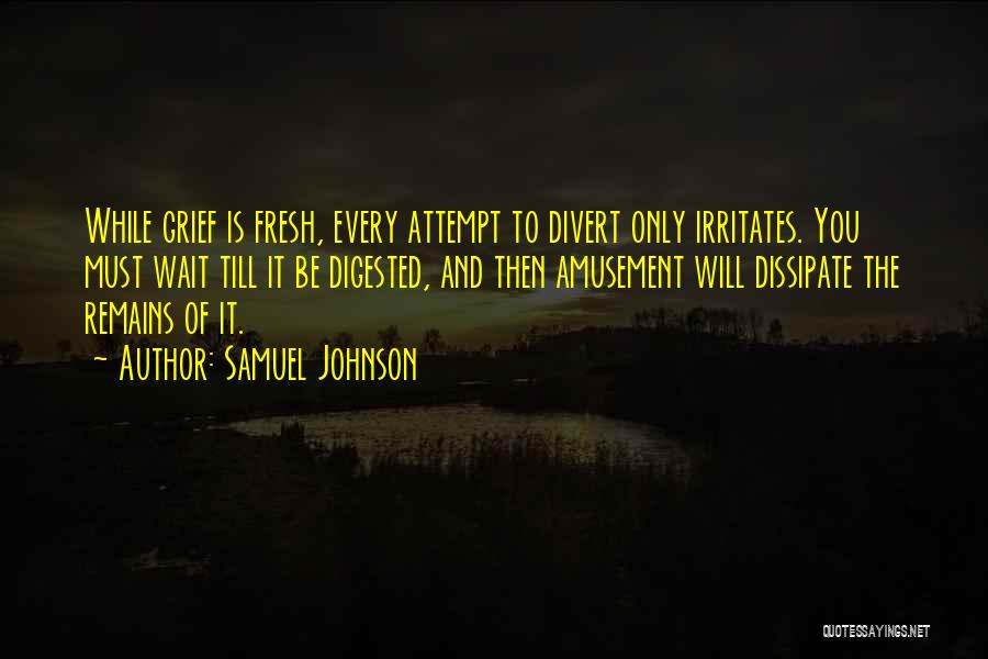 Amusement Quotes By Samuel Johnson