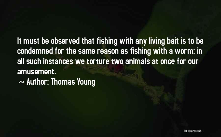 Amusement Quotes By Thomas Young