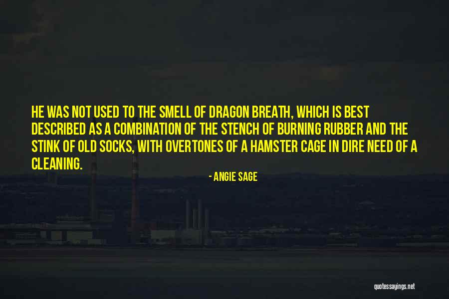 Amusing Fortune Cookie Quotes By Angie Sage Amusing Fortune Cookie Quotes By Angie Sage