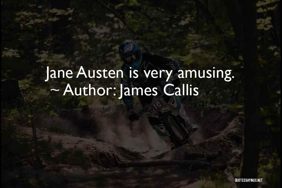 Amusing Yourself Quotes By James Callis
