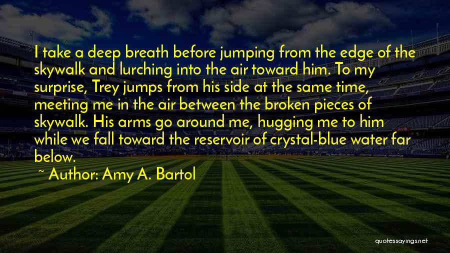 Amy Bartol Quotes By Amy A. Bartol