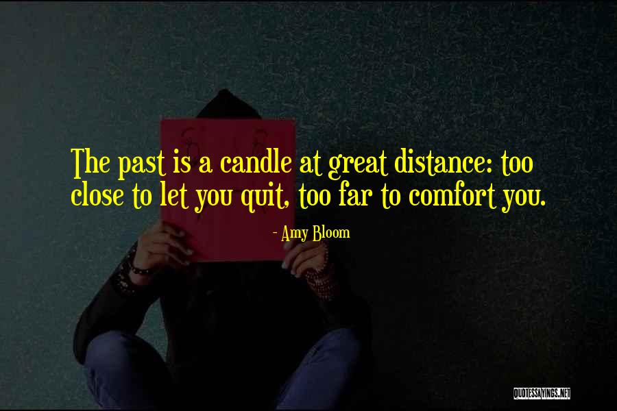 Amy Bloom Quotes 1031727 Amy Bloom Quotes 1031727