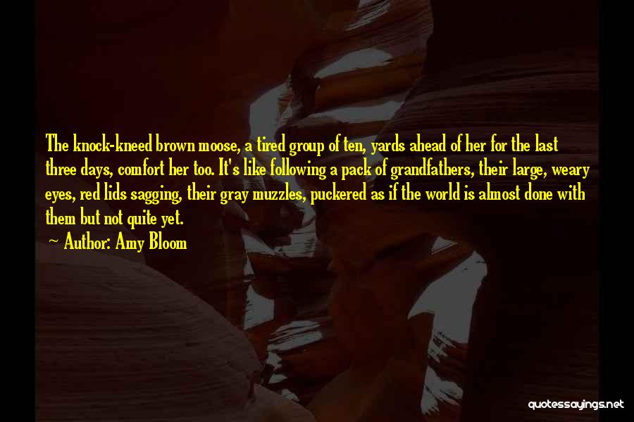 Amy Bloom Quotes 1460127