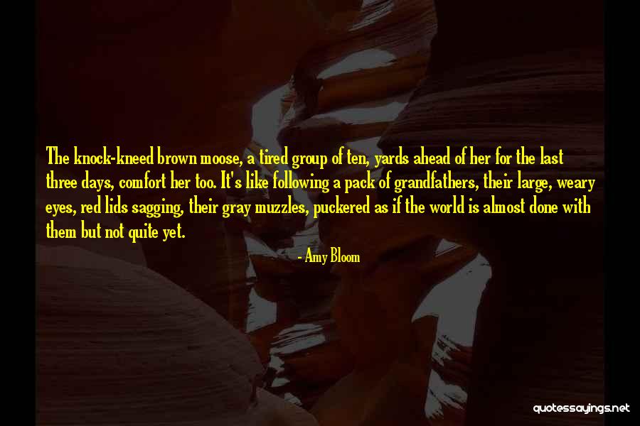 Amy Bloom Quotes 1460127 Amy Bloom Quotes 1460127