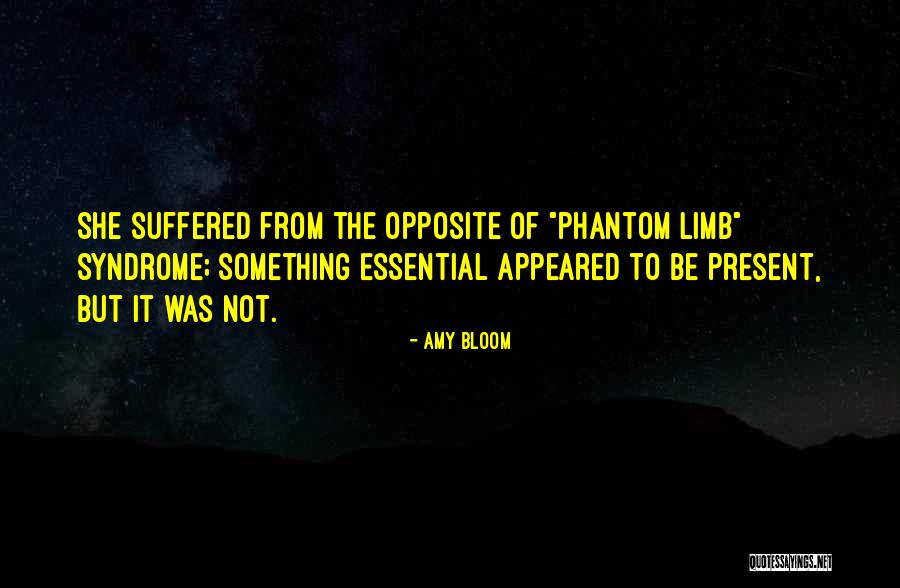 Amy Bloom Quotes 165531 Amy Bloom Quotes 165531