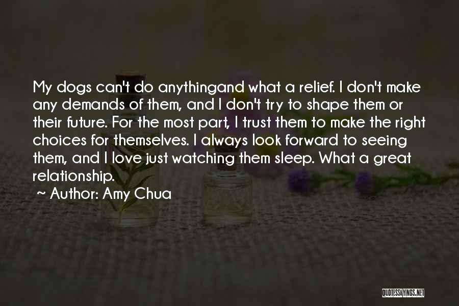 Amy Chua Quotes 1015352