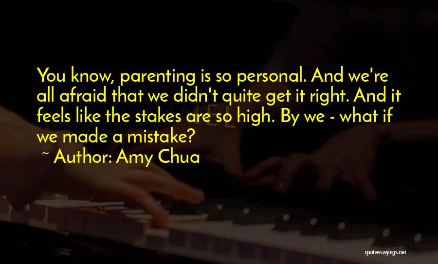 Amy Chua Quotes 1149871