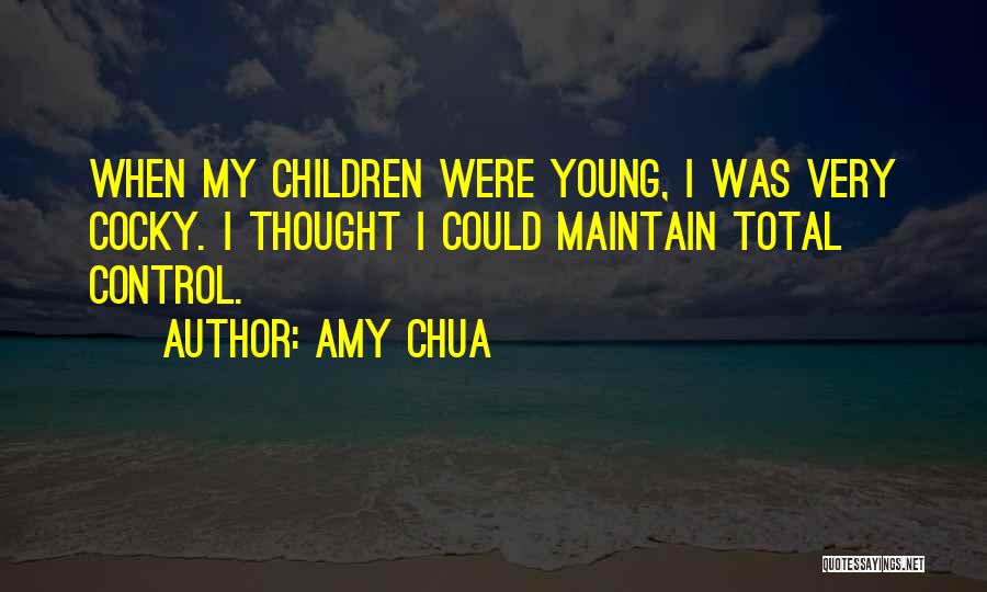 Amy Chua Quotes 1264845