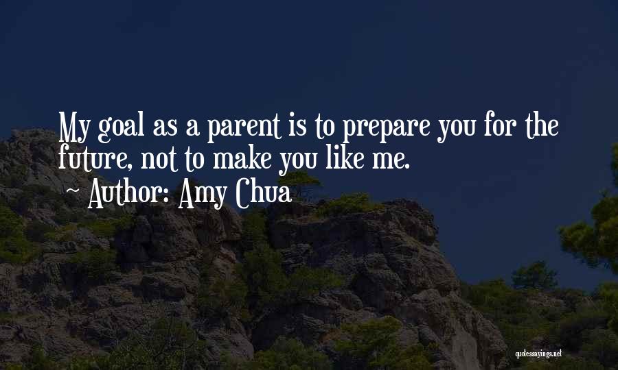 Amy Chua Quotes 1447064