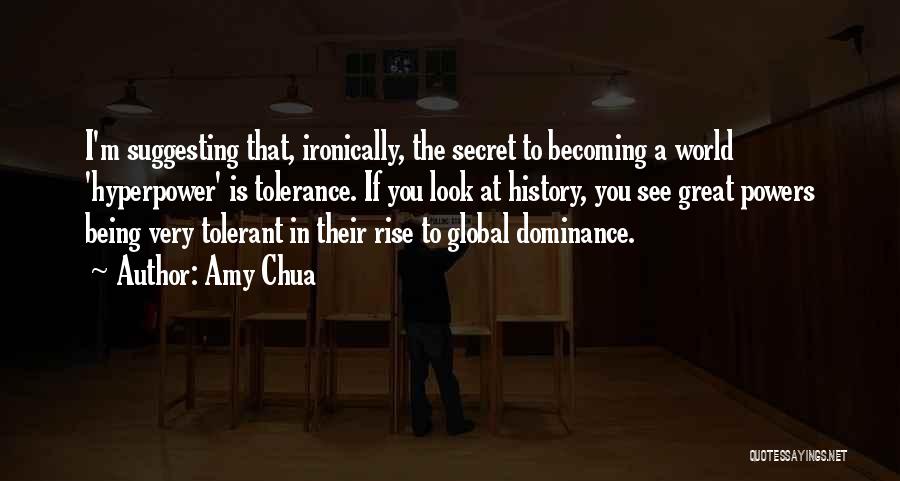 Amy Chua Quotes 1689772