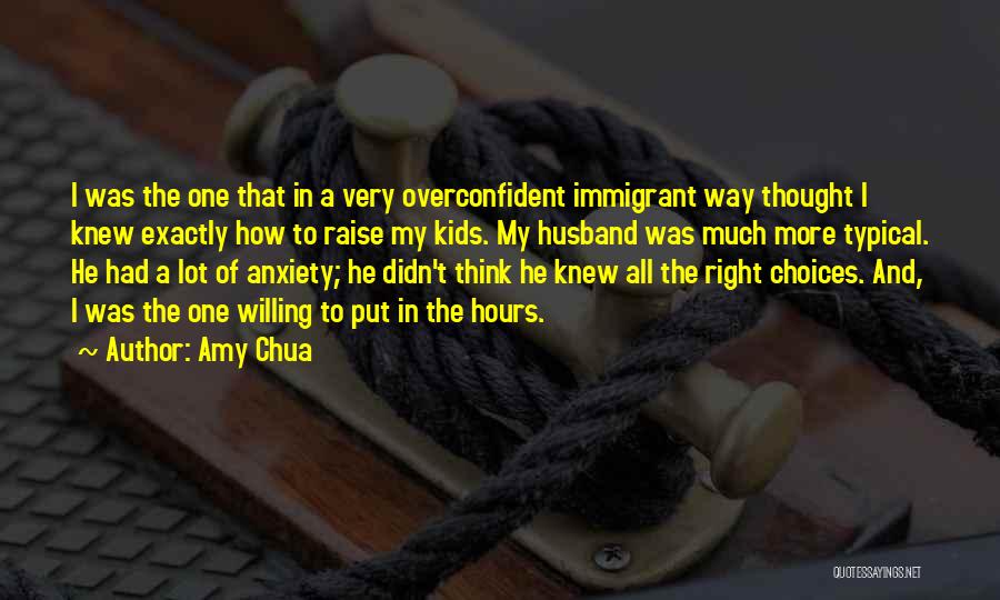 Amy Chua Quotes 1690643