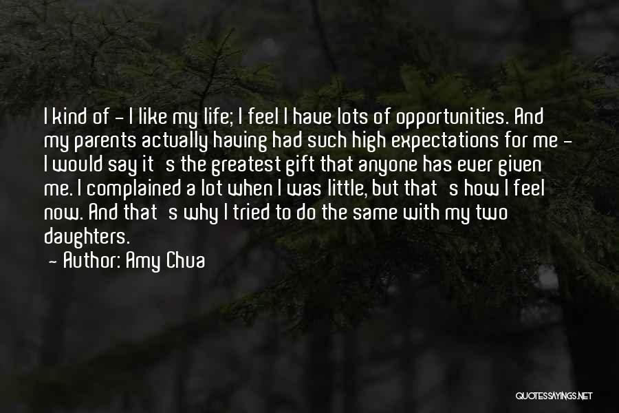 Amy Chua Quotes 1825748
