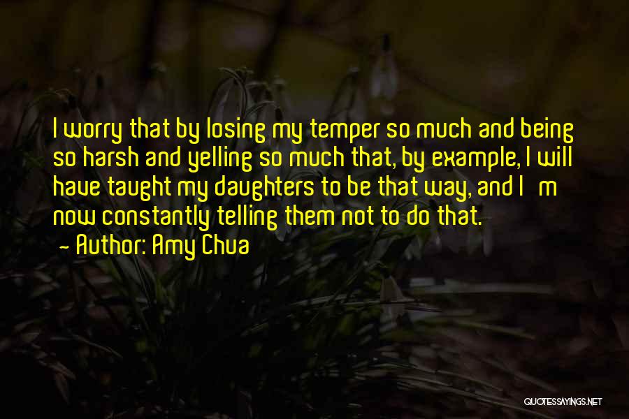 Amy Chua Quotes 2000033