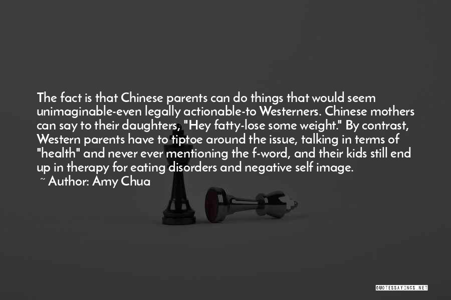 Amy Chua Quotes 2053562