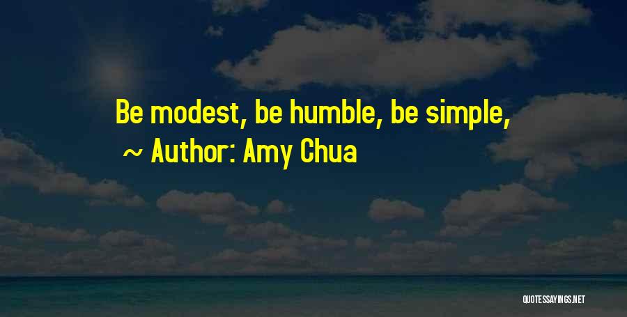 Amy Chua Quotes 2084407
