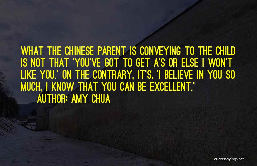 Amy Chua Quotes 2261309