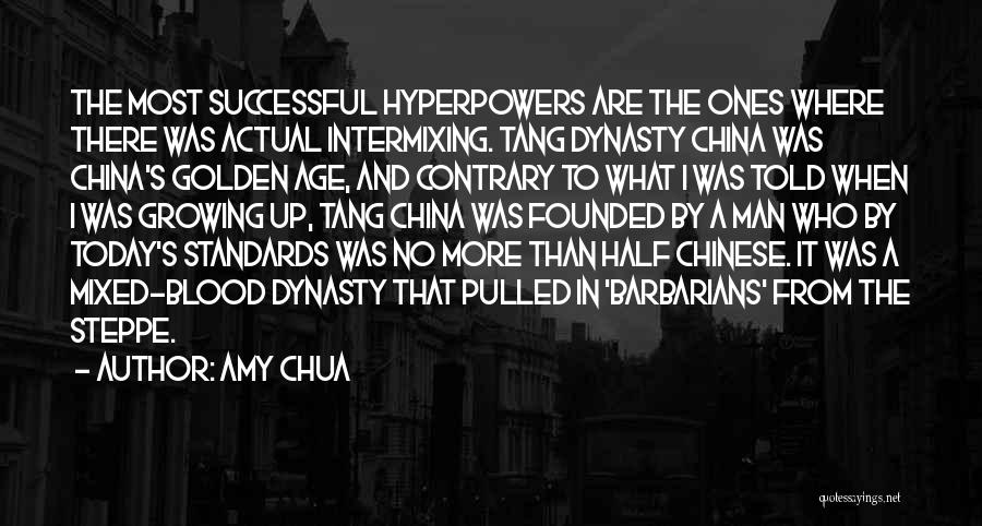 Amy Chua Quotes 474602