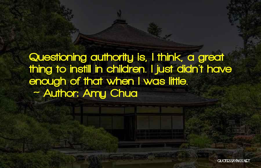 Amy Chua Quotes 976987