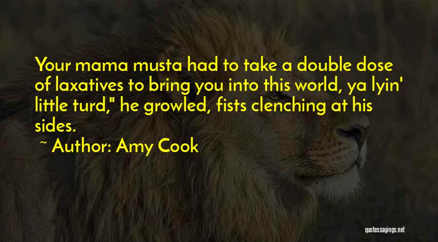 Amy Cook Quotes 1639883