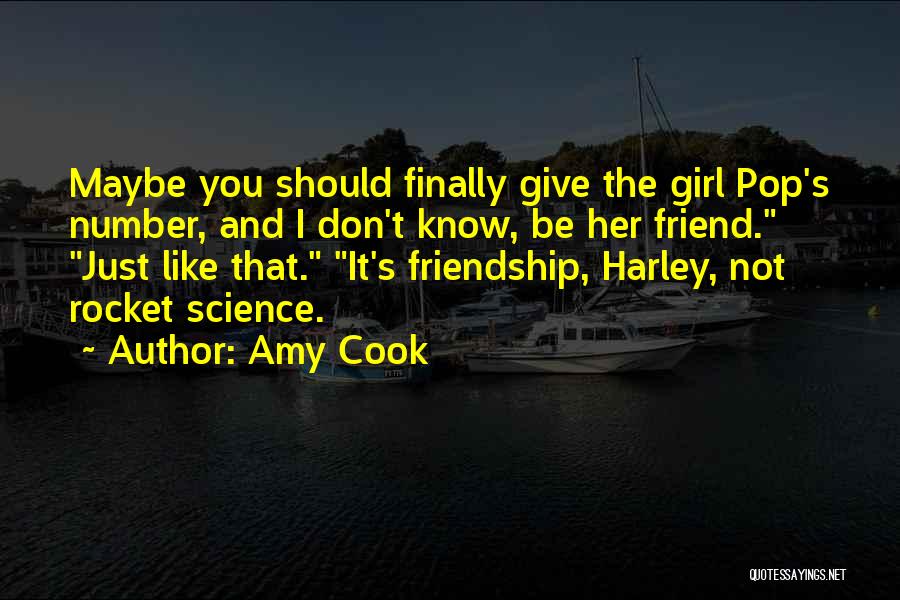 Amy Cook Quotes 339909