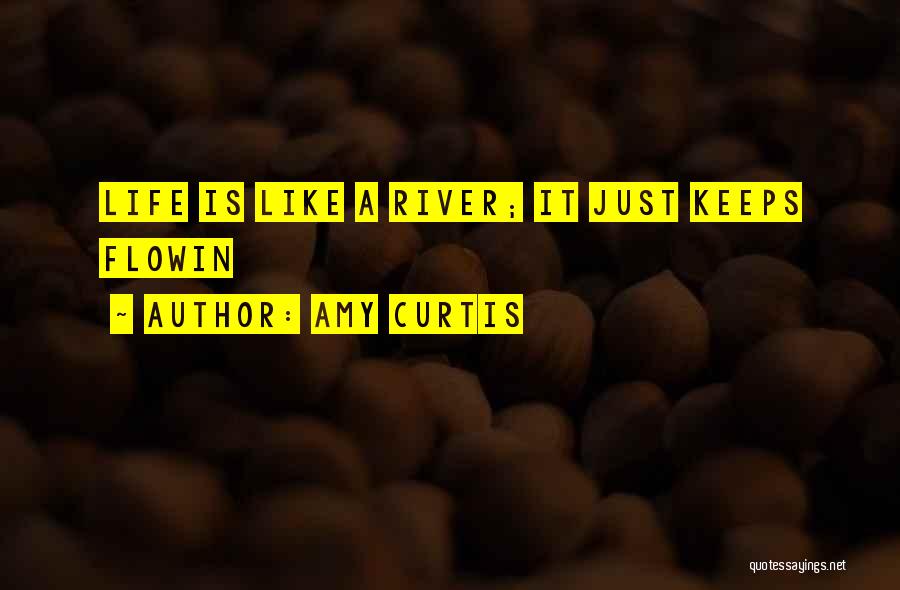 Amy Curtis Quotes 739980