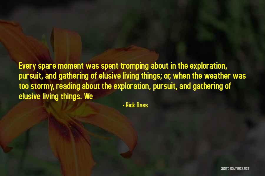 Amy Dorrit Quotes By Rick Bass Amy Dorrit Quotes By Rick Bass