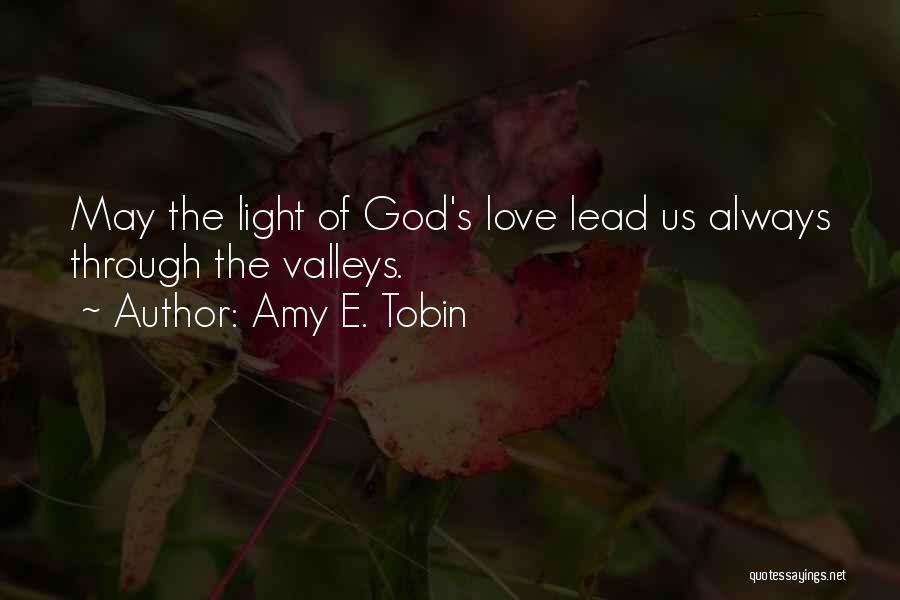 Amy E. Tobin Quotes 2100328