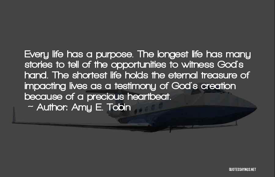 Amy E. Tobin Quotes 2145982