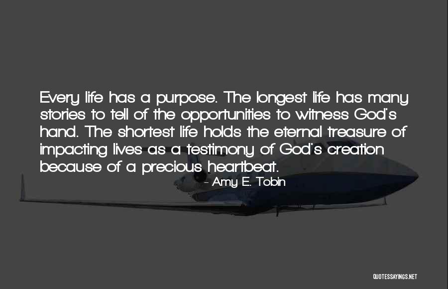 Amy E. Tobin Quotes 2145982