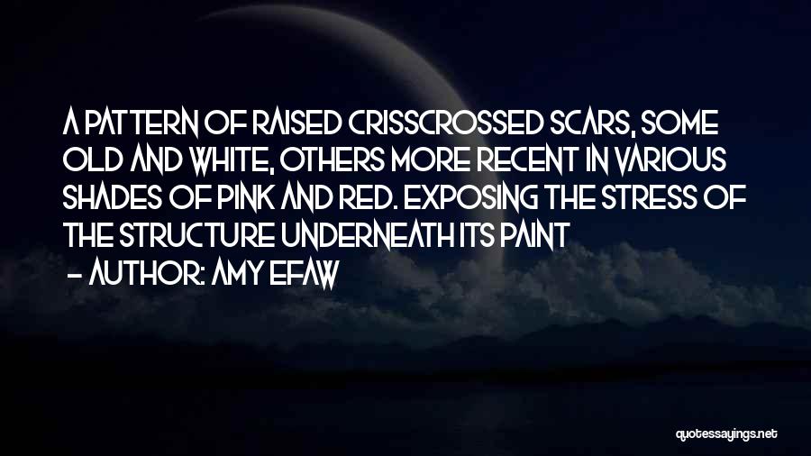 Amy Efaw Quotes 595139