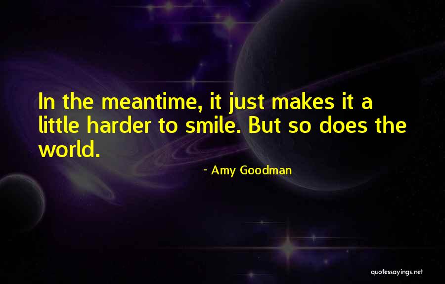 Amy Goodman Quotes 447310