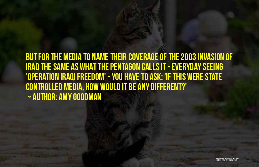Amy Goodman Quotes 700430