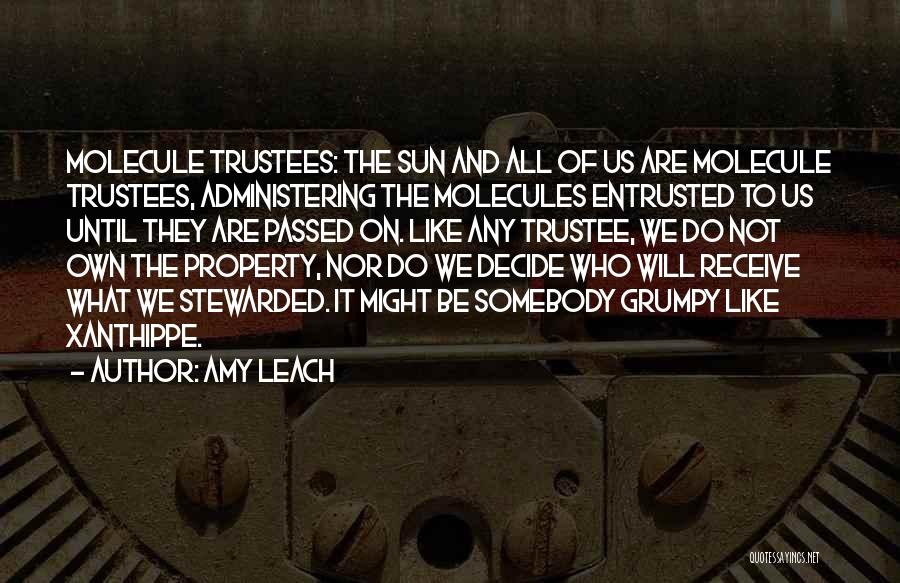 Amy Leach Quotes 112509