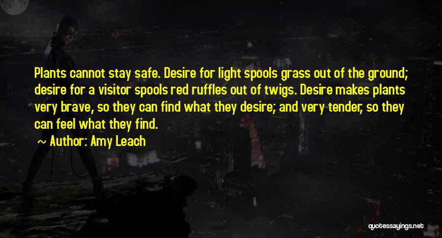 Amy Leach Quotes 1516452