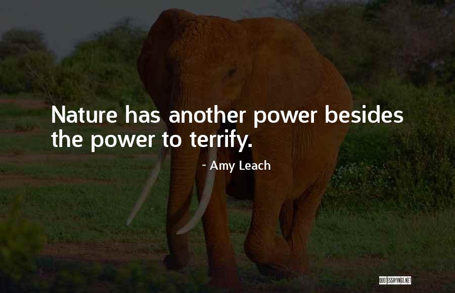 Amy Leach Quotes 1776421 Amy Leach Quotes 1776421