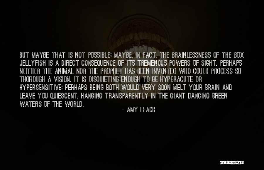 Amy Leach Quotes 321081