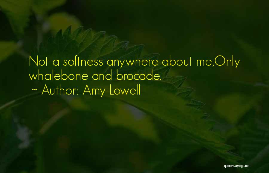 Amy Lowell Quotes 1065111