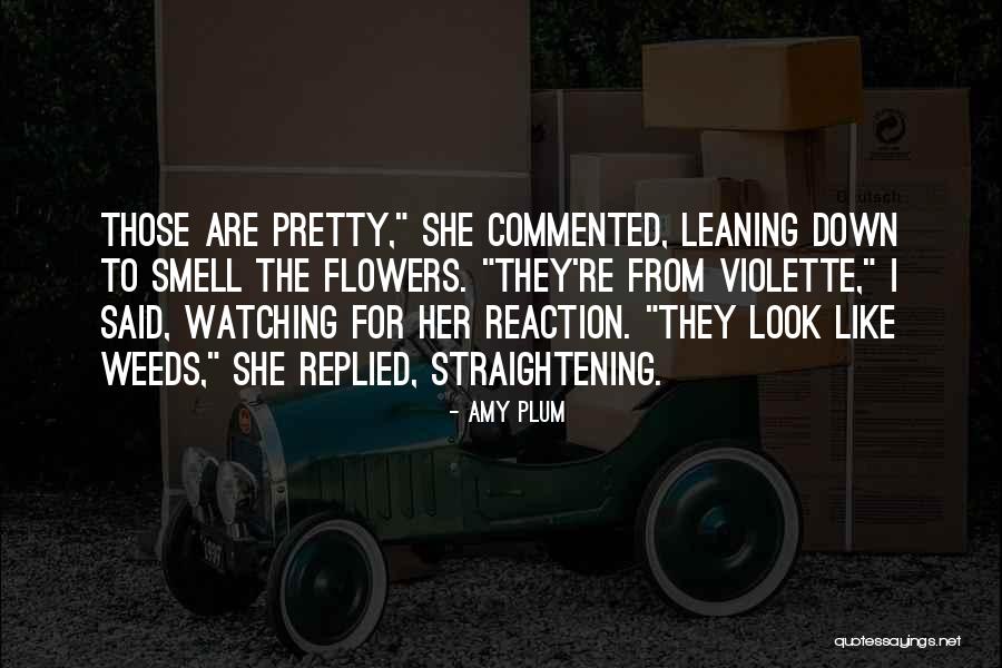 Amy Plum Quotes 492274 Amy Plum Quotes 492274