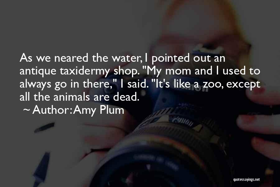 Amy Plum Quotes 550884