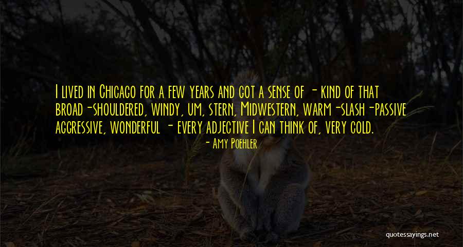 Amy Poehler Quotes 268950