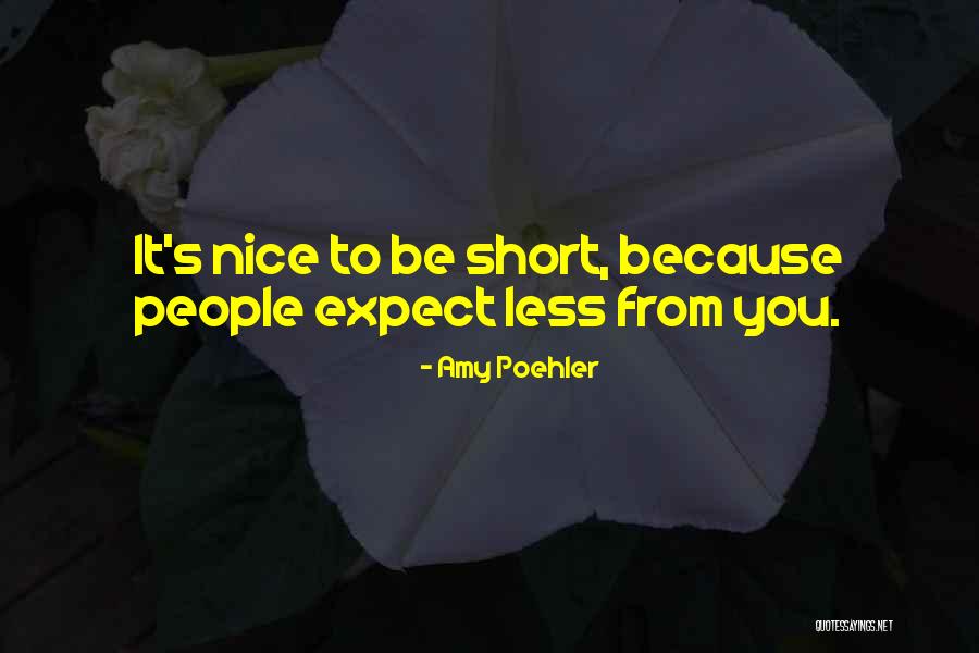 Amy Poehler Quotes 280316