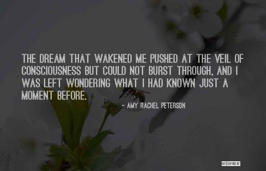 Amy Rachel Peterson Quotes 1748486