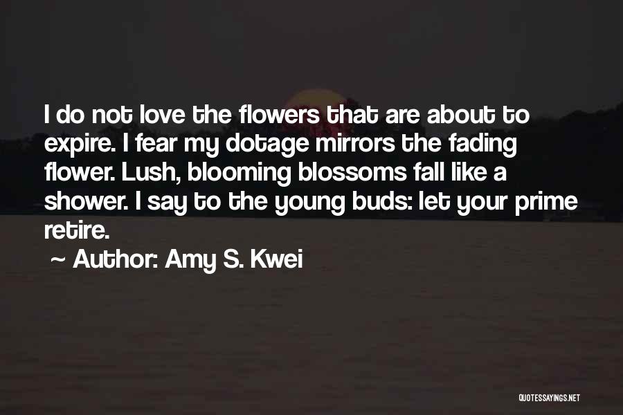 Amy S. Kwei Quotes 831682