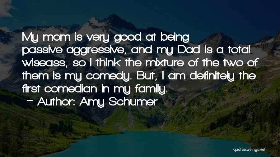 Amy Schumer Quotes 1462164