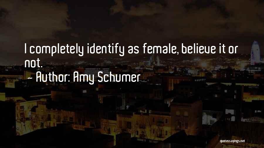 Amy Schumer Quotes 1953578