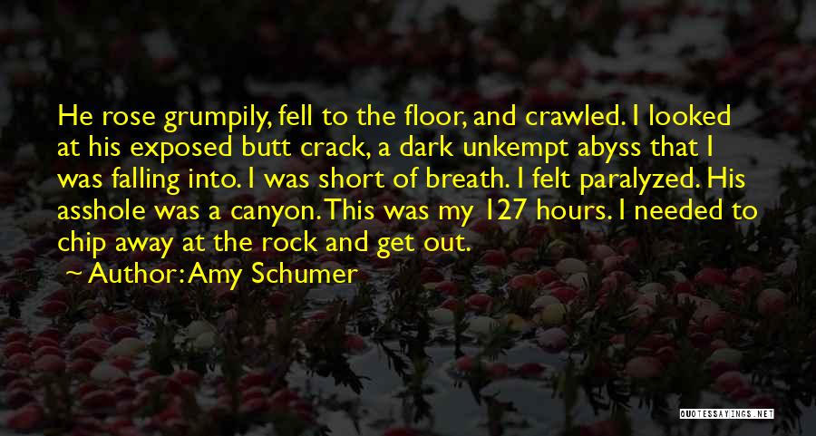 Amy Schumer Quotes 252123