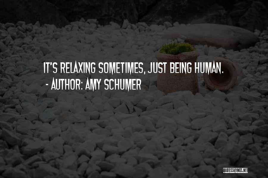 Amy Schumer Quotes 311612