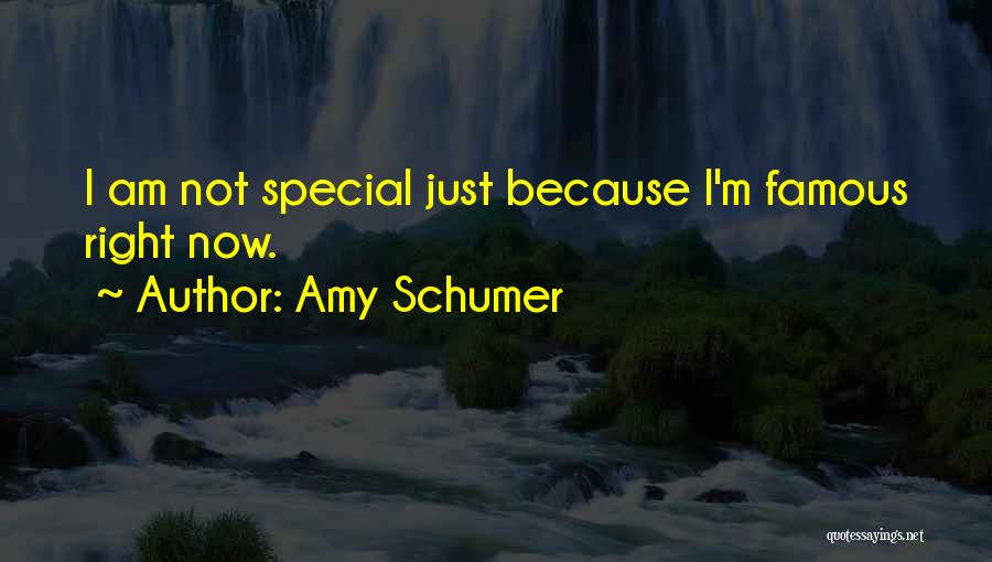 Amy Schumer Quotes 708941