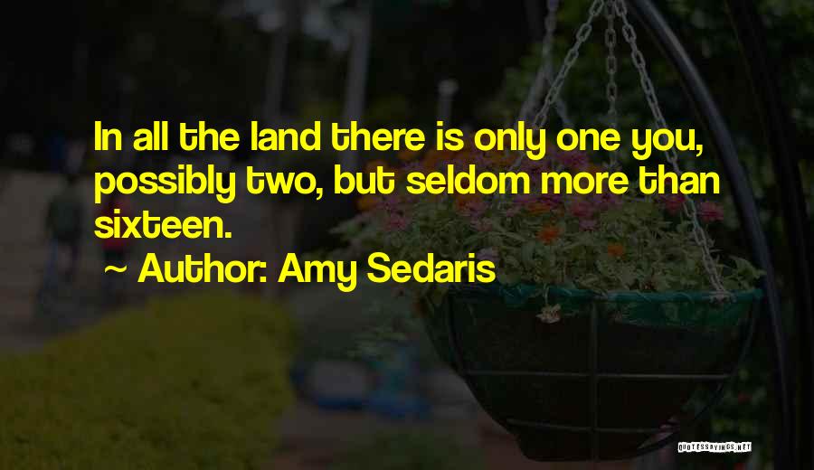 Amy Sedaris Quotes 1294402